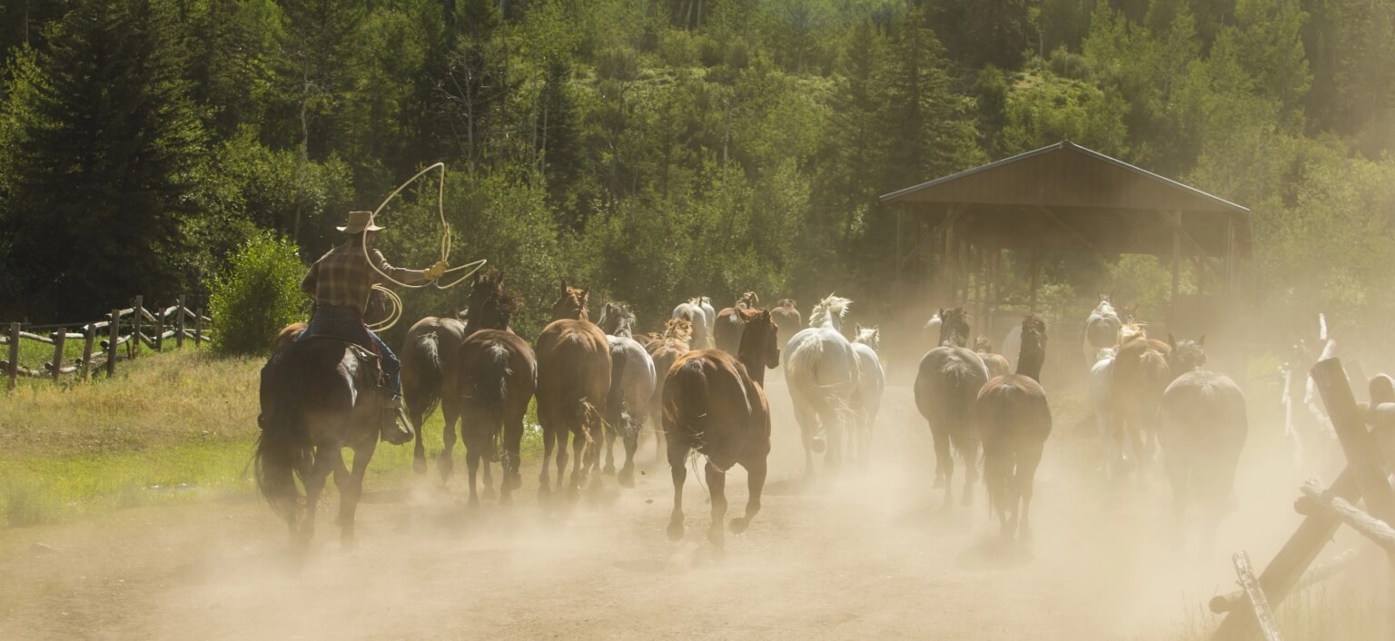 Wyoming's Best Dude Ranch - Spotted Horse Ranch Jackson Hole